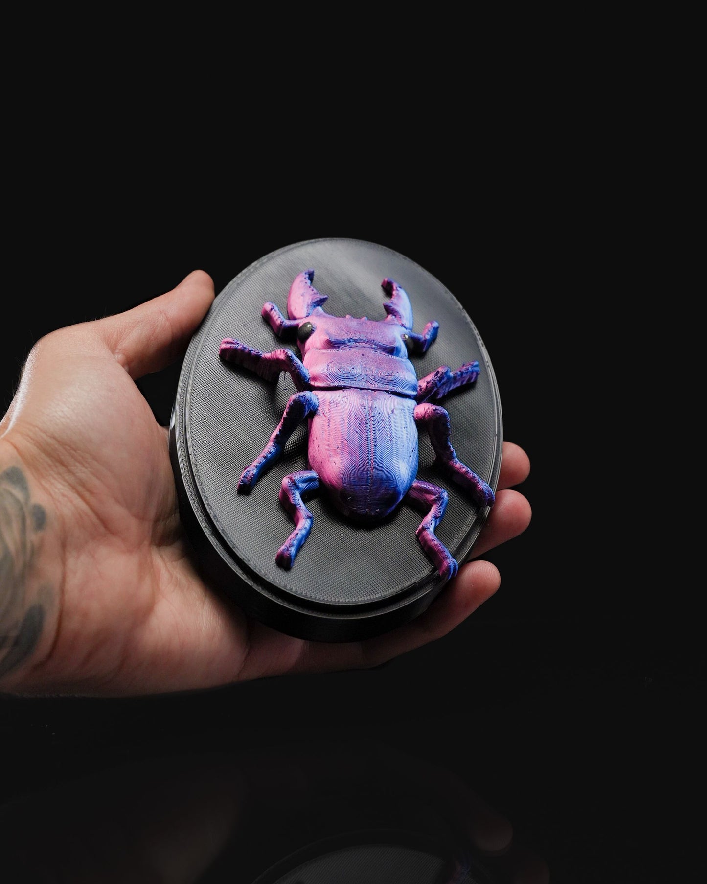 0713 - Beetles on the Wall Stag