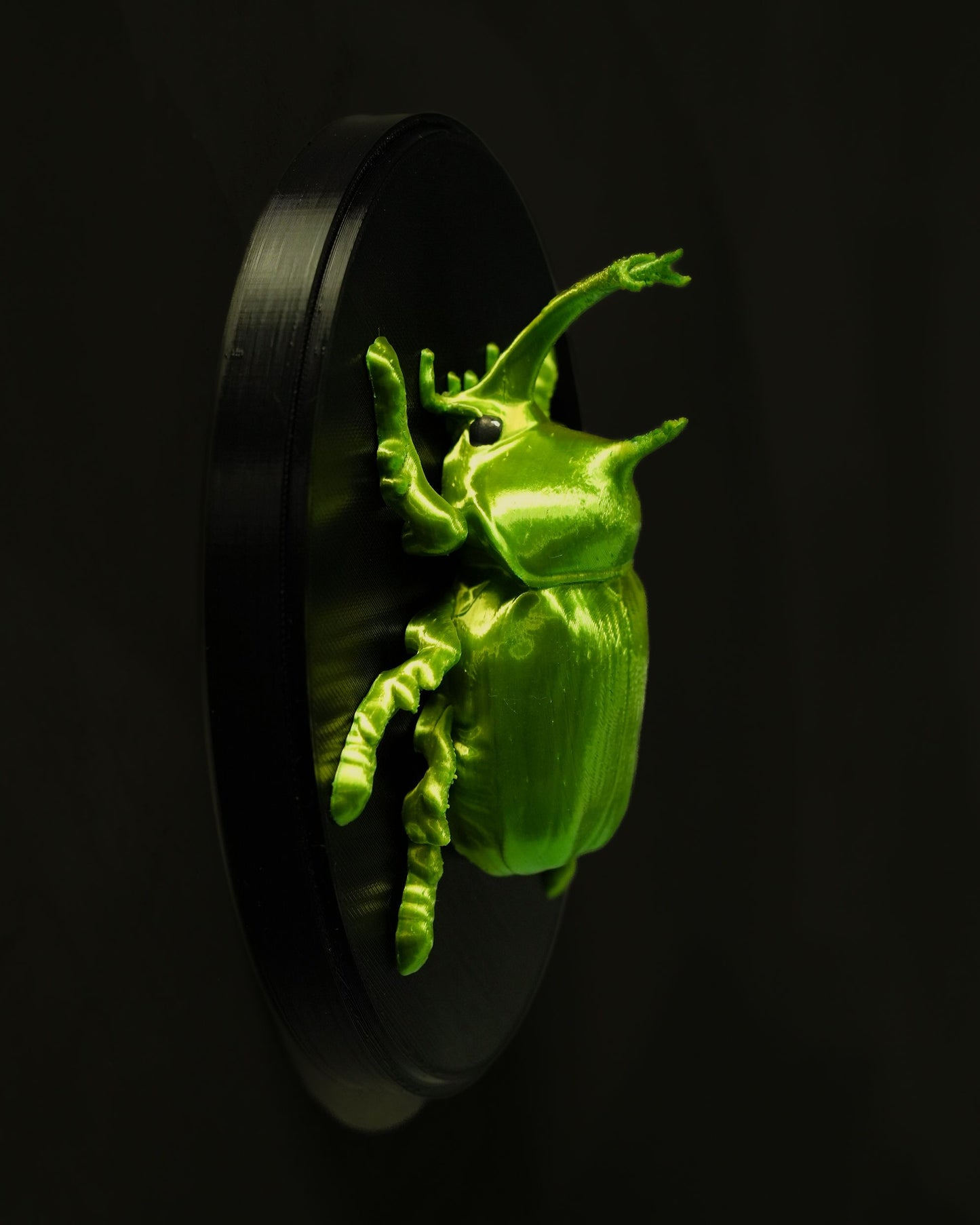 0714 - Beetles on the Wall Rhino