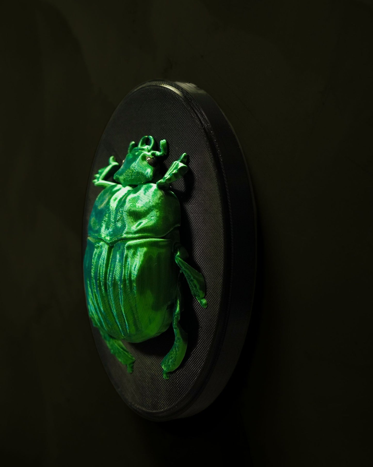 0712 - Beetles on the Wall Scarab