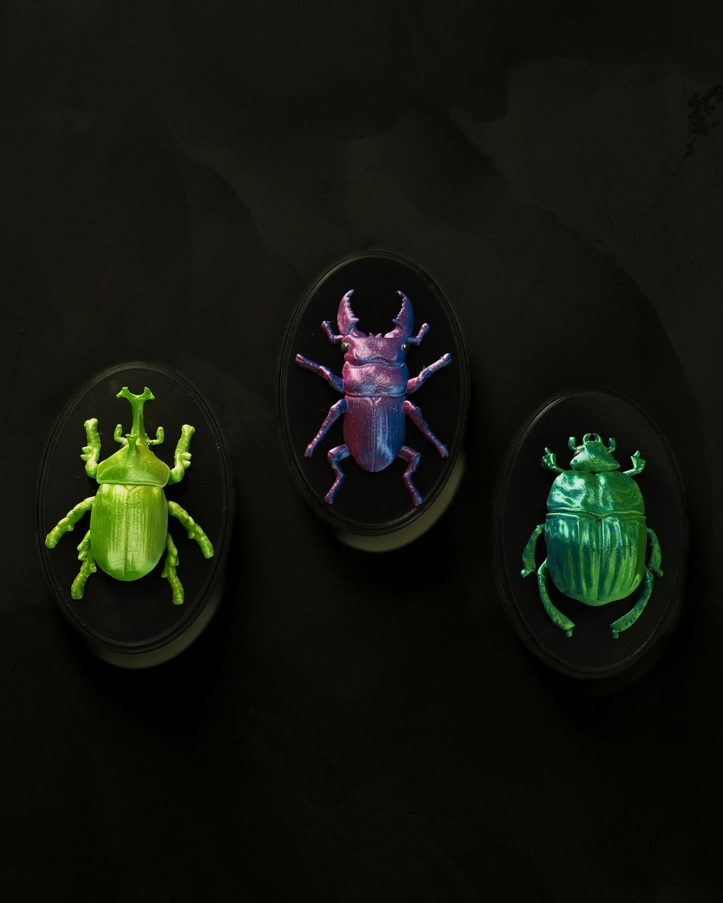 0714 - Beetles on the Wall Rhino