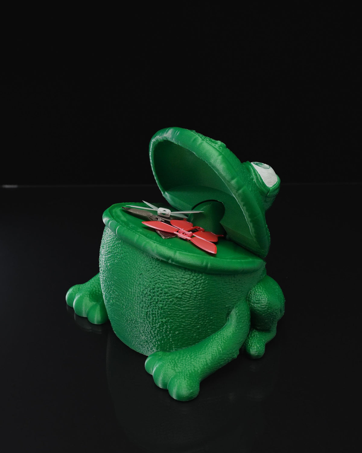 0708 - Butterflies in Frog's Stomach