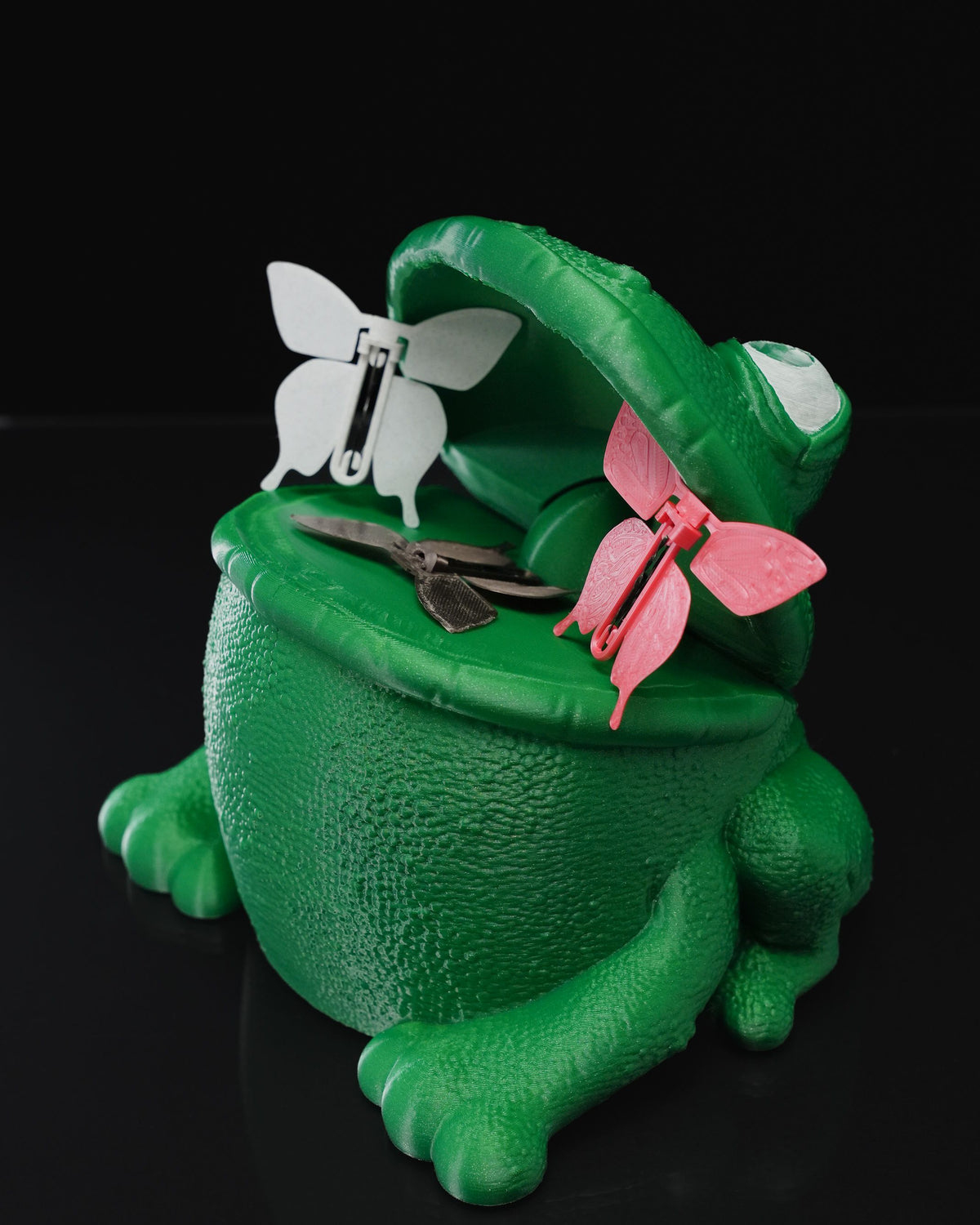 0708 - Butterflies in Frog's Stomach
