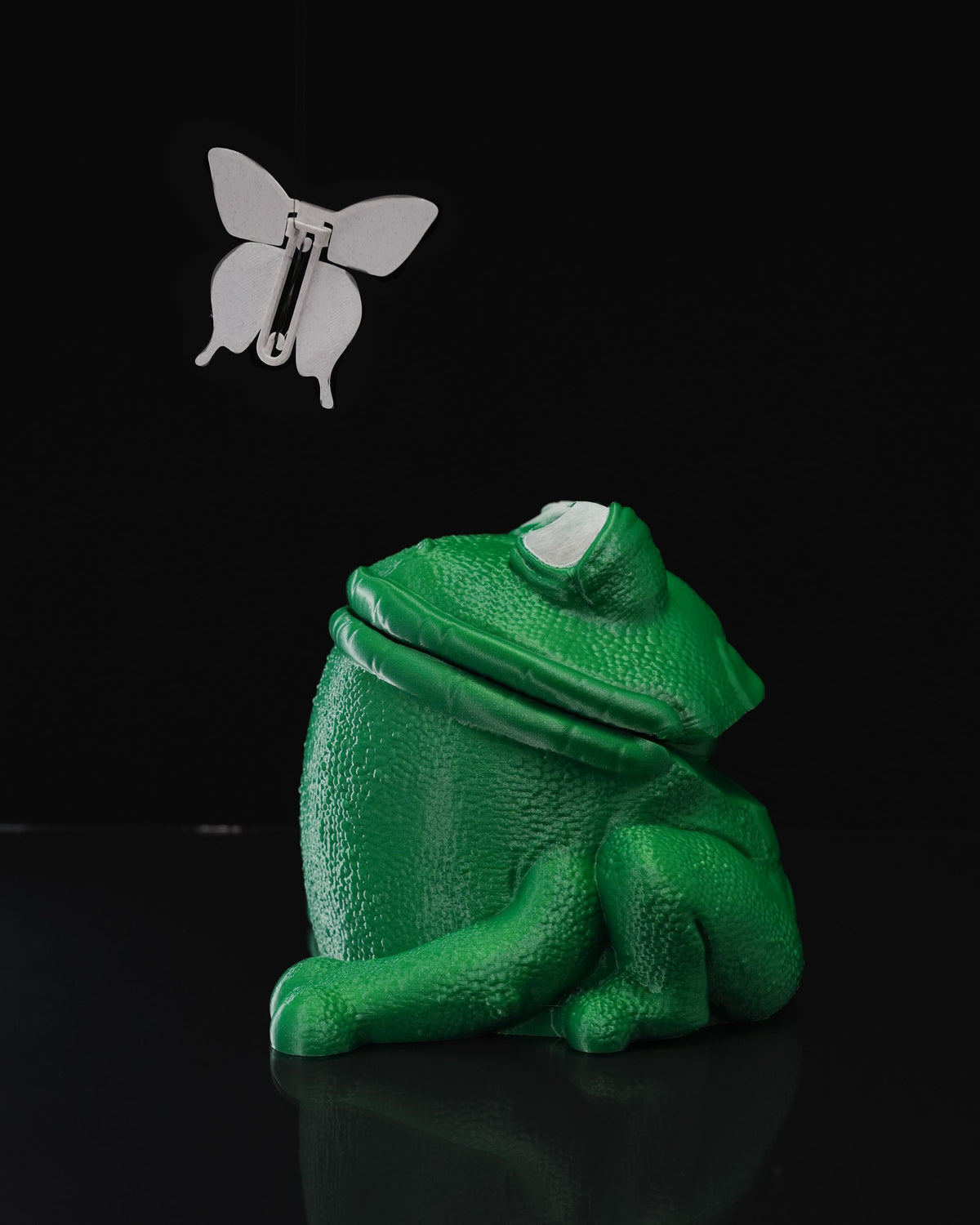 0708 - Butterflies in Frog's Stomach