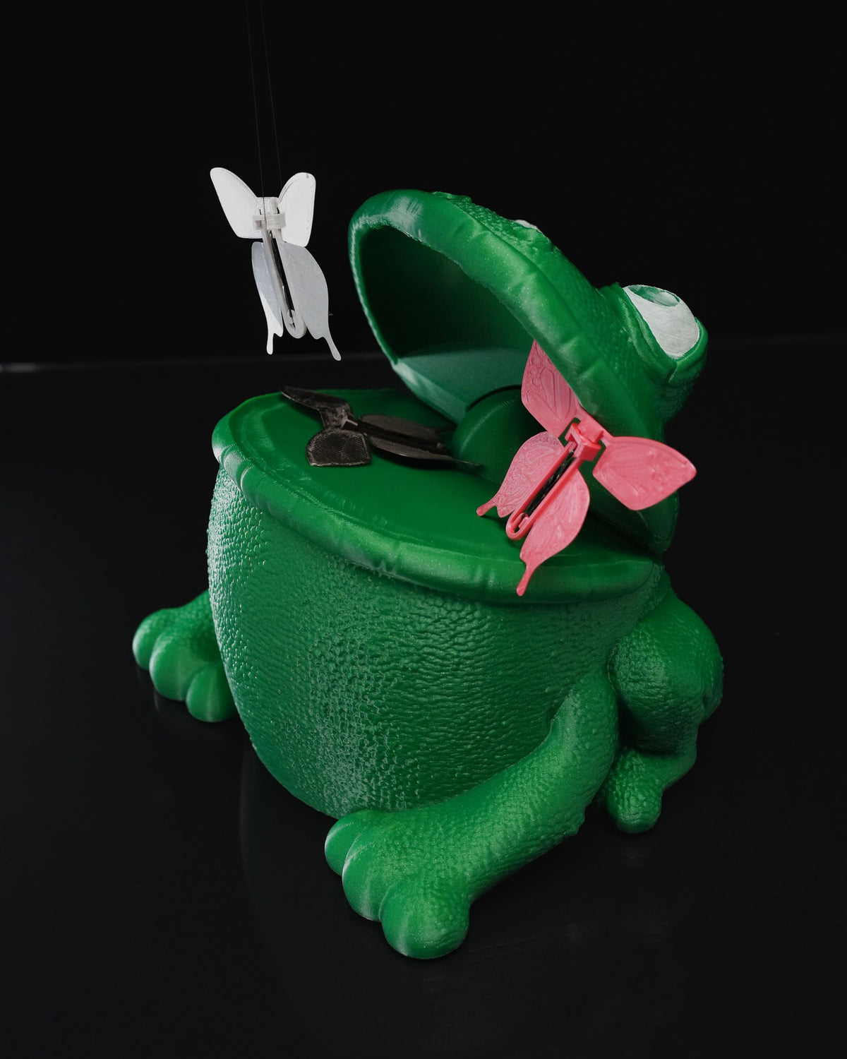 0708 - Butterflies in Frog's Stomach