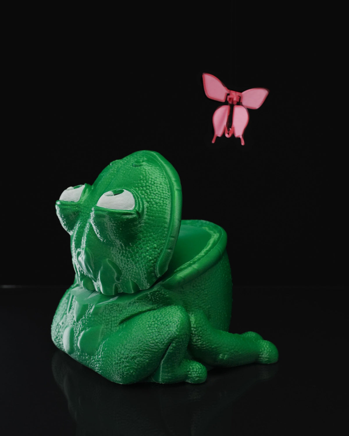 0708 - Butterflies in Frog's Stomach