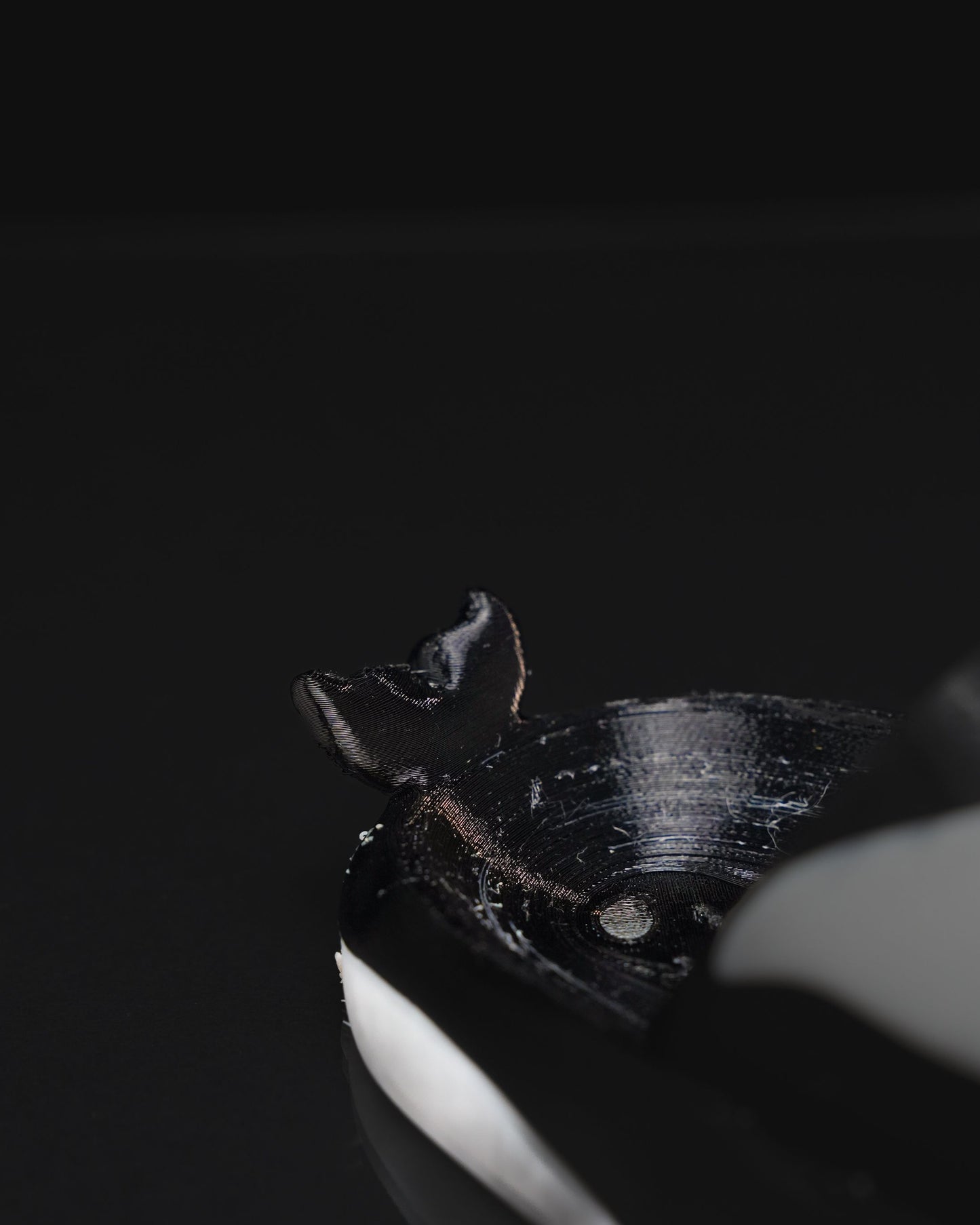 0743 - Orca Slider for Kids