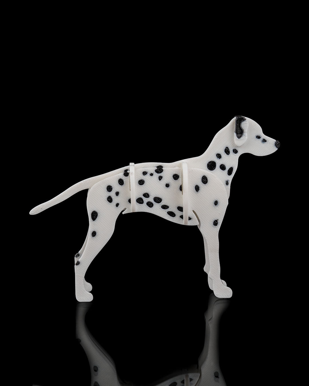 2532 - Dalmatian Kit Card