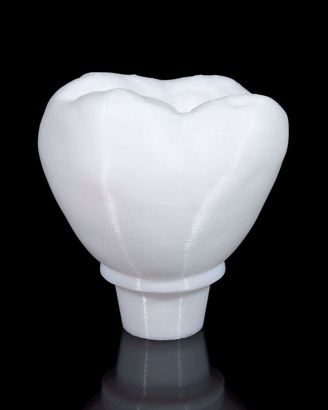 1332 - Dental Implant
