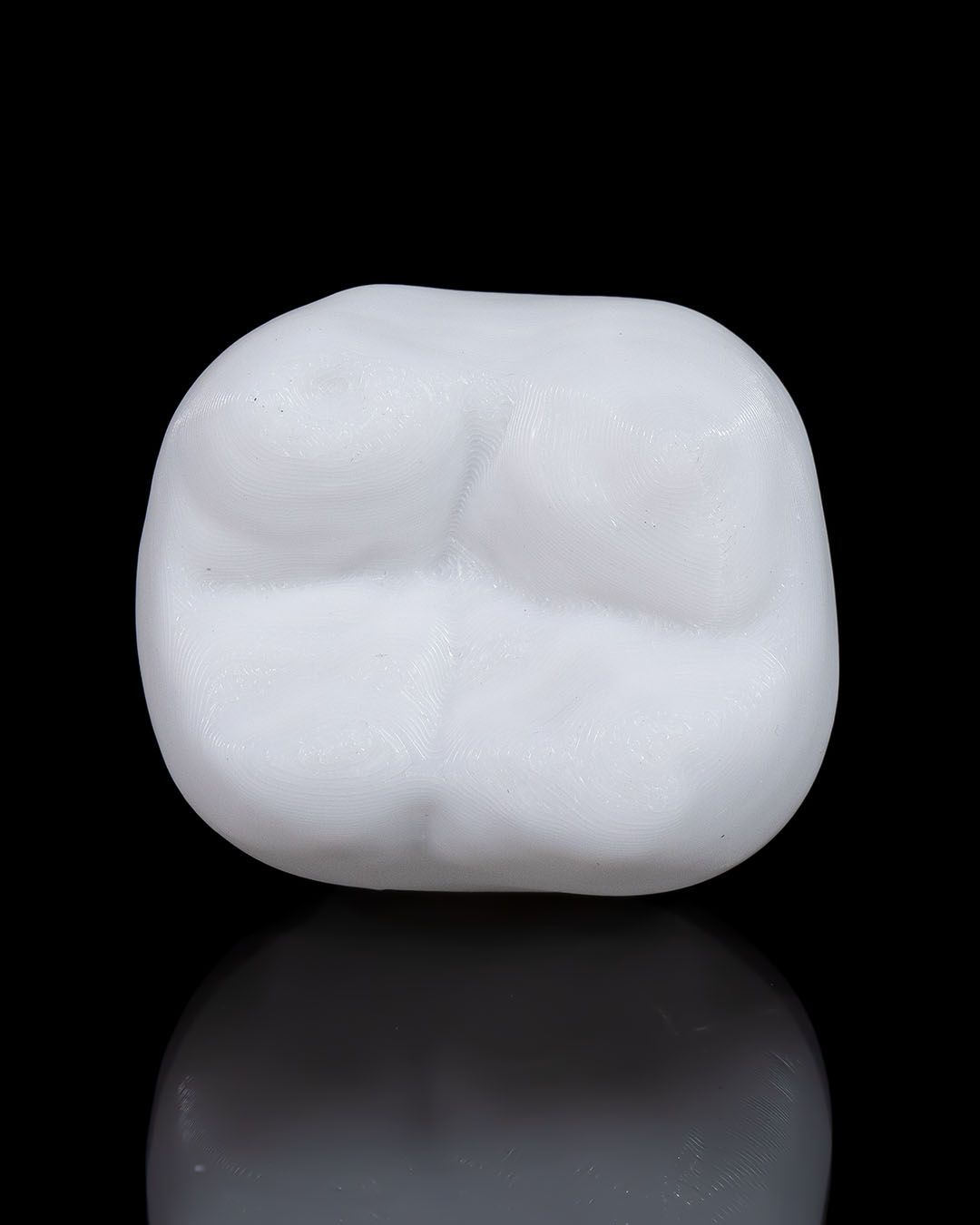 1332 - Dental Implant
