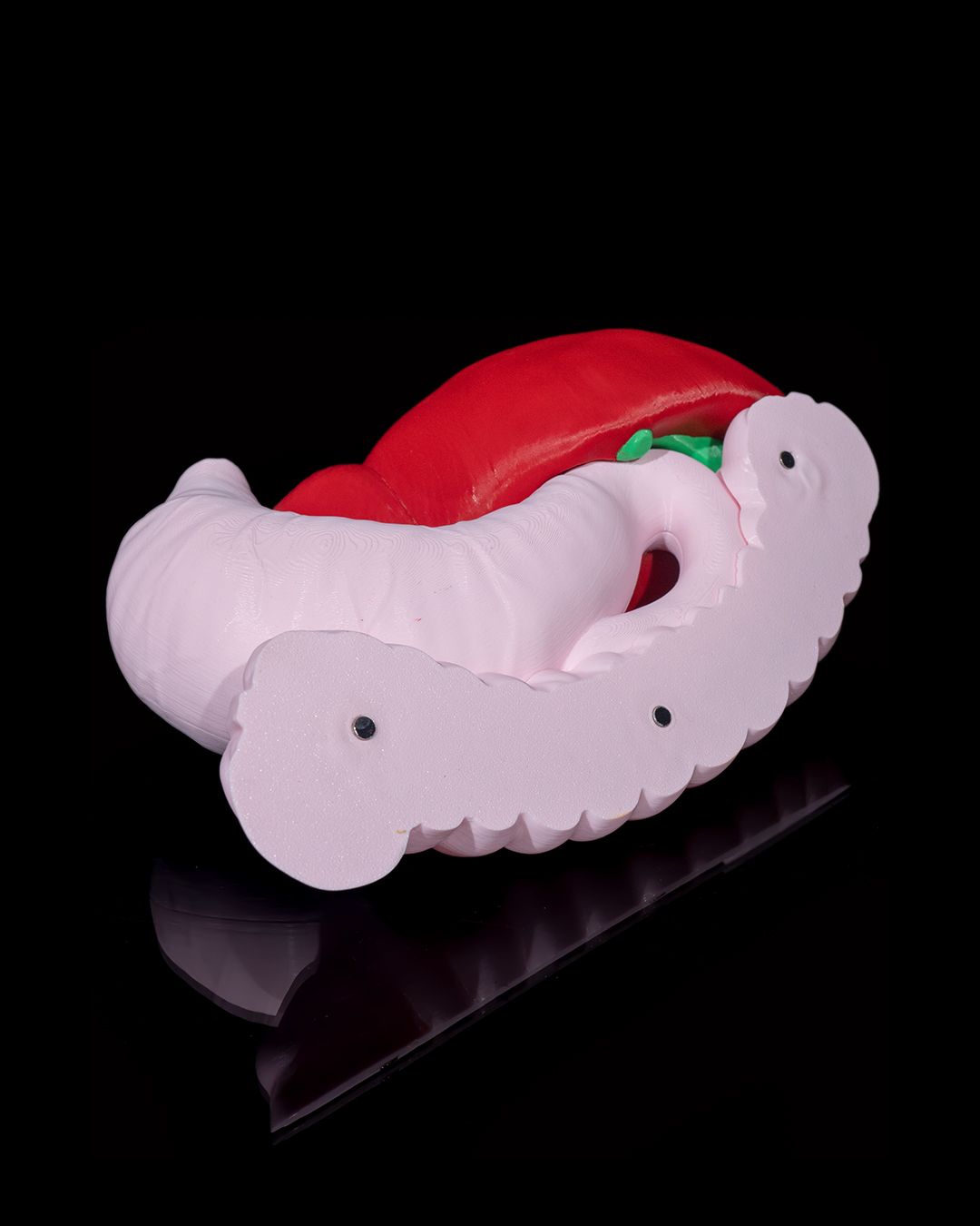 1390 - Digestive System Anatomical Model
