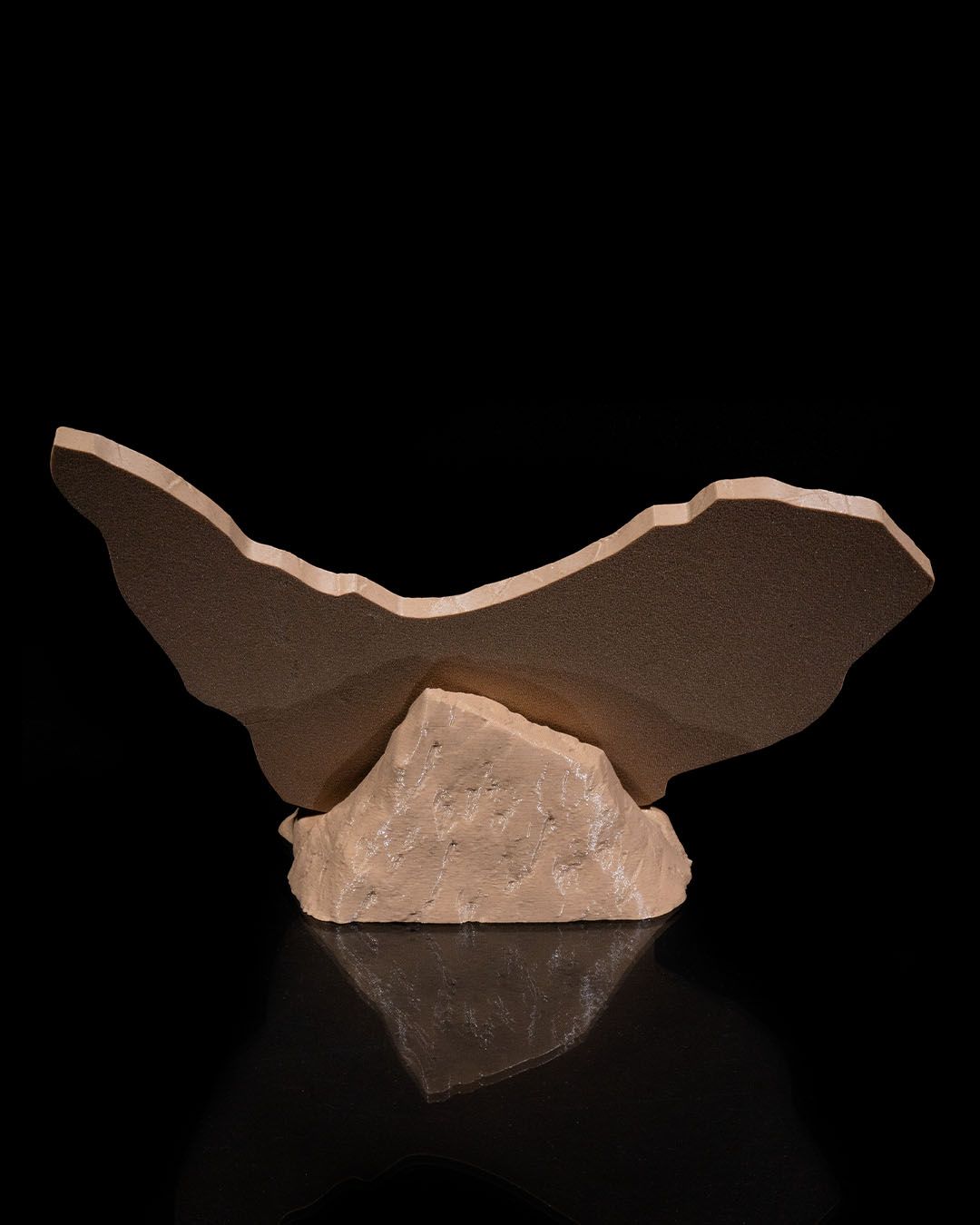 1833 - Dino Evidence