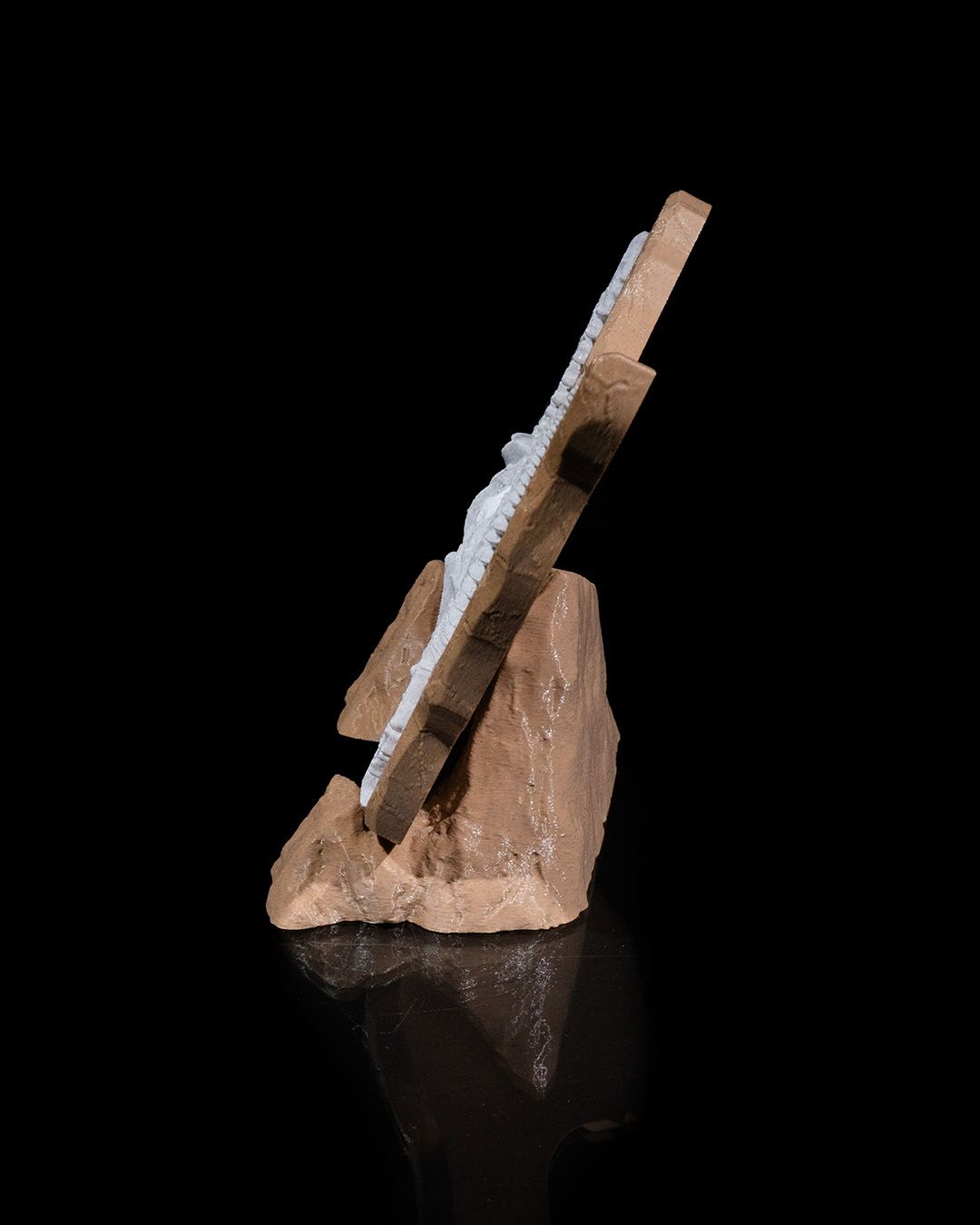 1833 - Dino Evidence