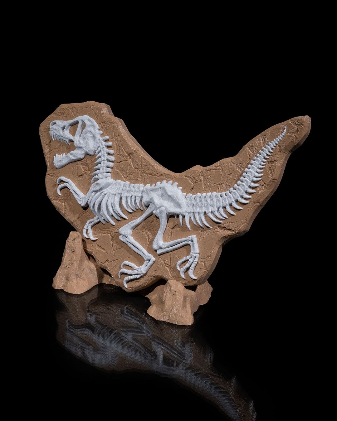 1833 - Dino Evidence