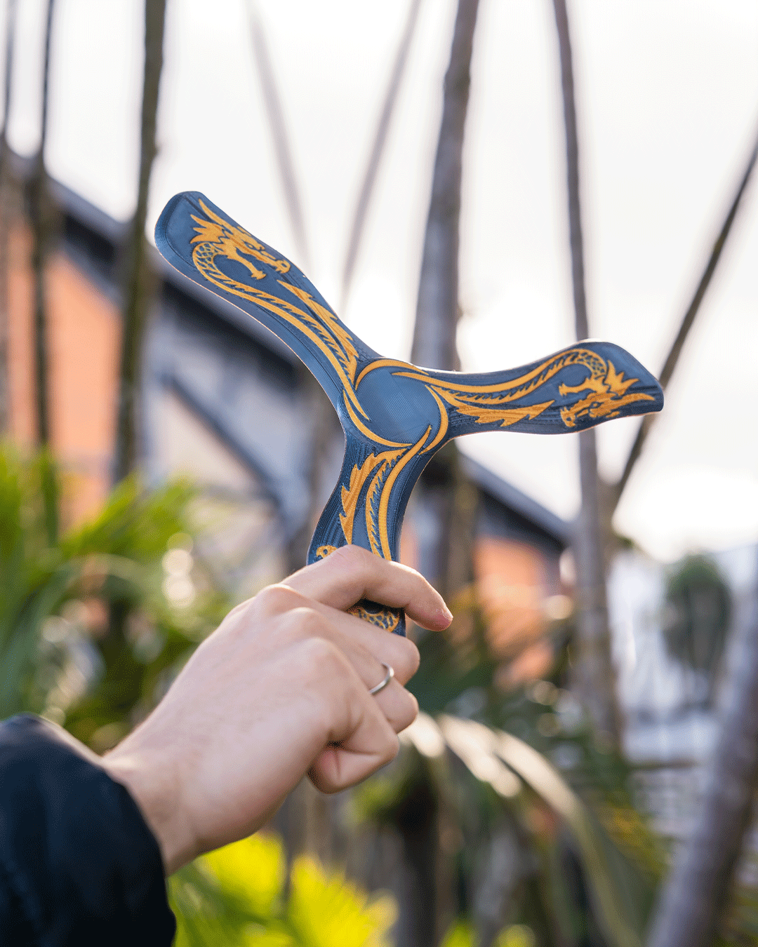 4228 - Draconic Boomerang