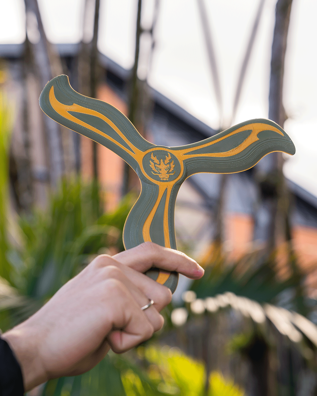 4227 - Dragon Crest Boomerang