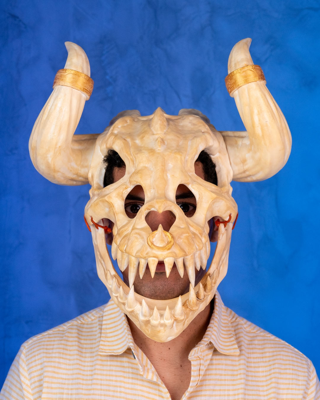 2593 - Dragon Slayer Helmet