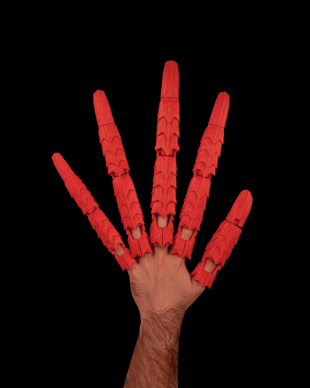 2857 - Dragonborn Claws