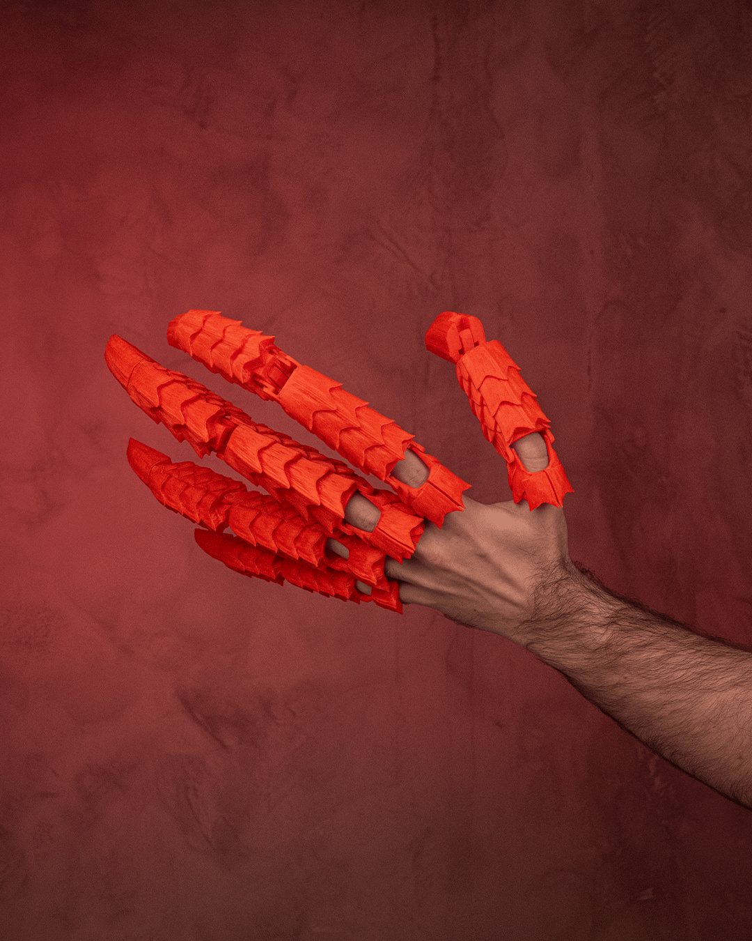 2857 - Dragonborn Claws