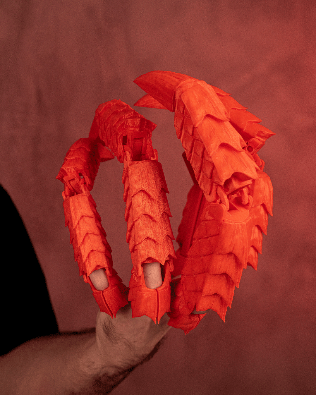 2857 - Dragonborn Claws