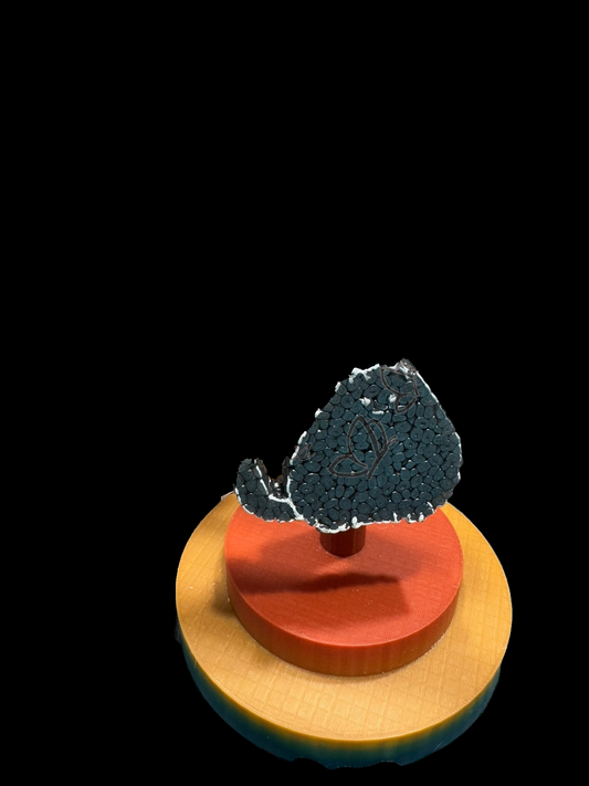 Freshie - Animal - Fat Cat