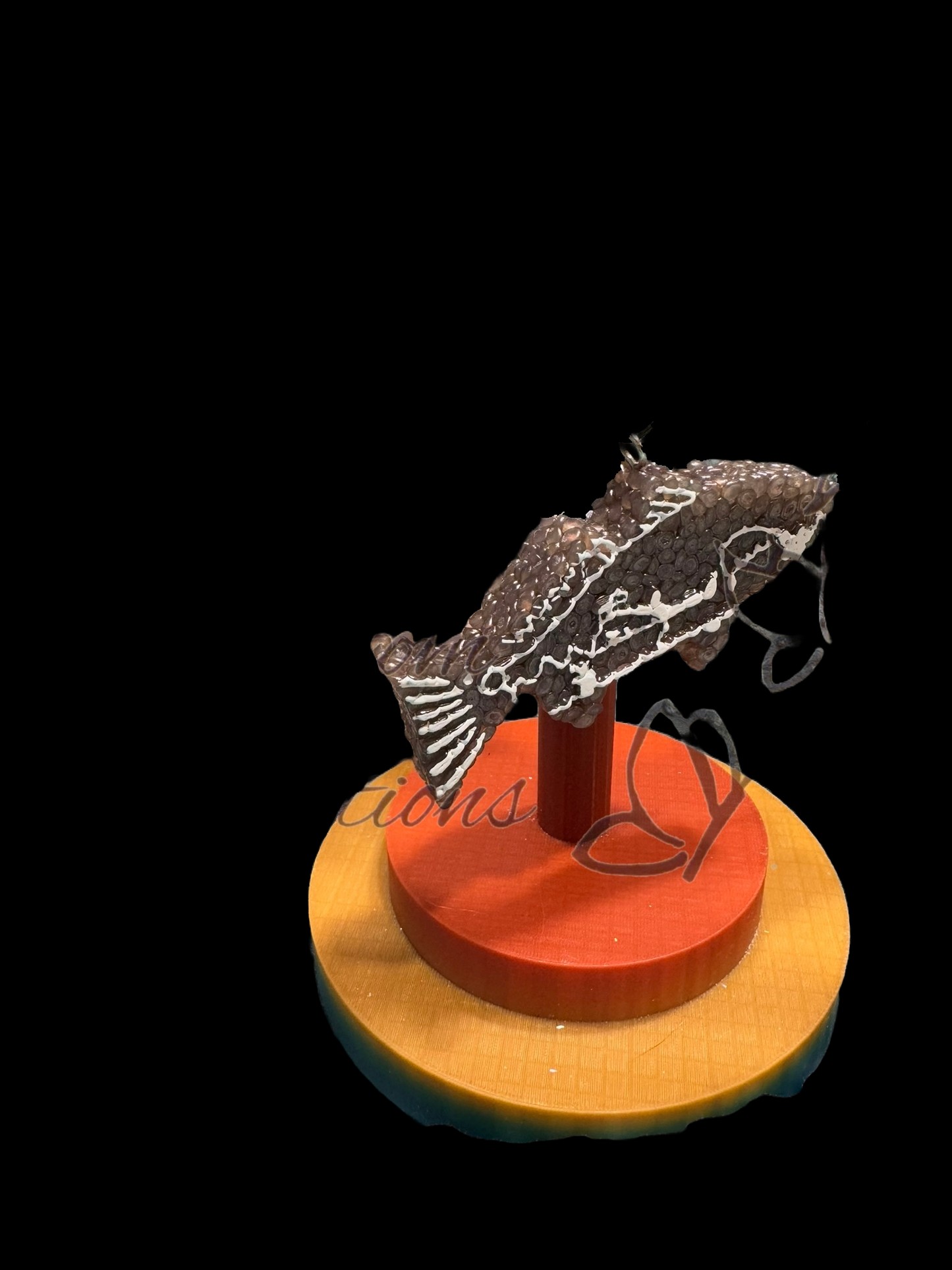 Freshie - Animal - Fish