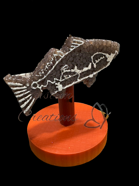 Freshie - Animal - Fish