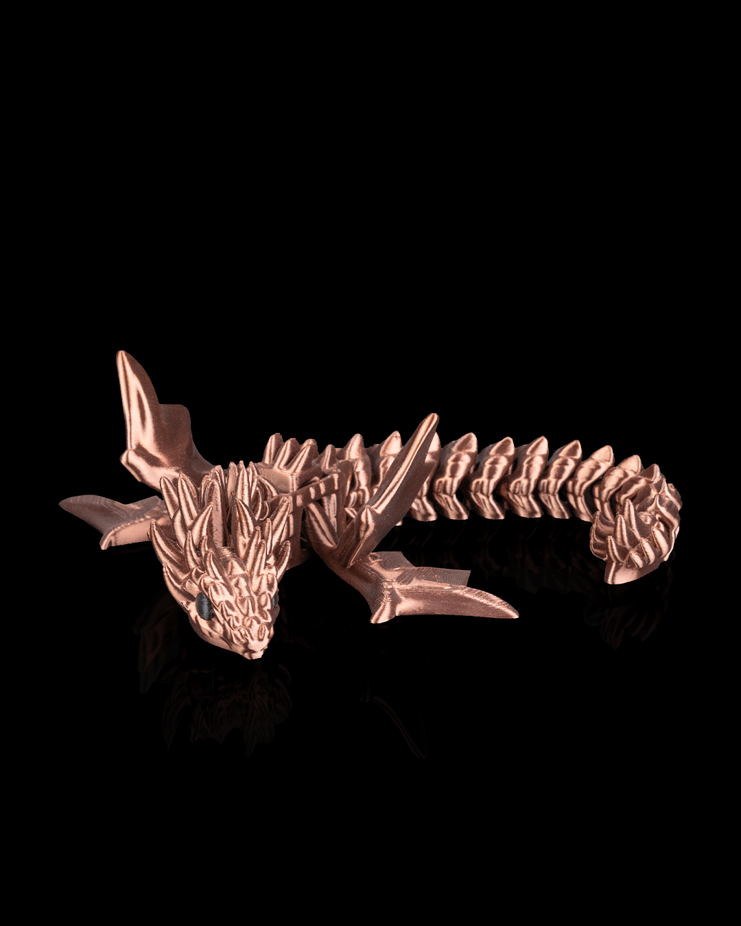 3501 - Flexi Amphiptere