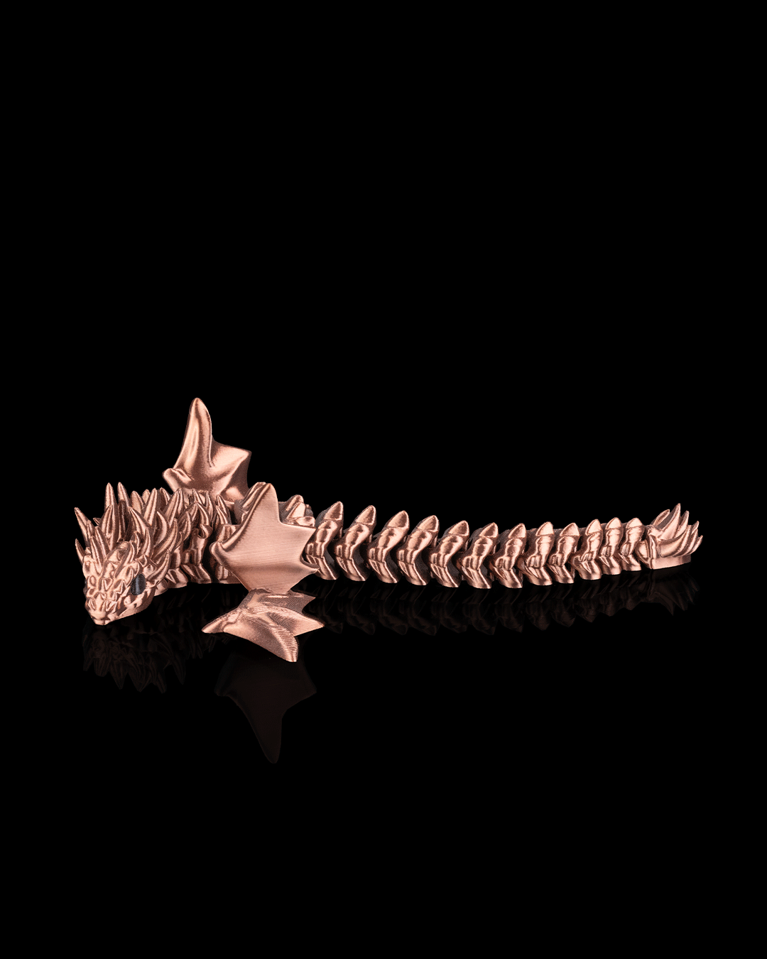 3501 - Flexi Amphiptere