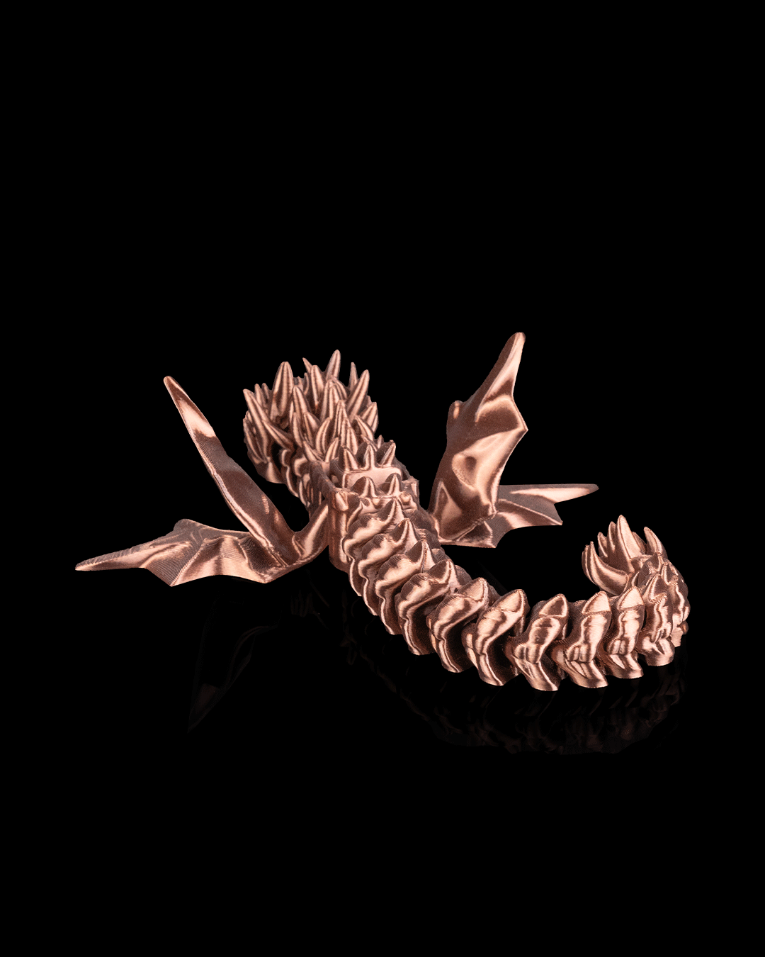 3501 - Flexi Amphiptere