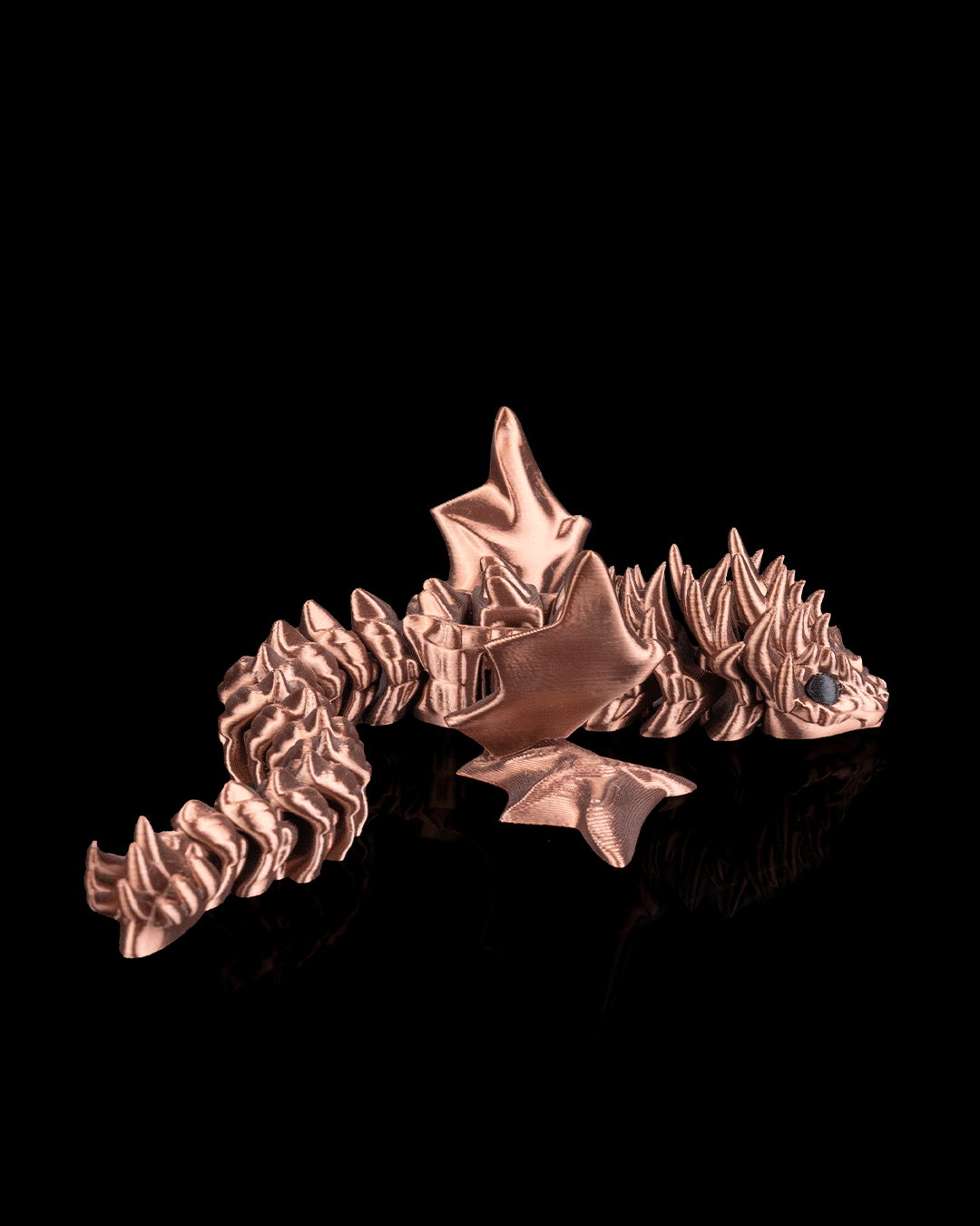 3501 - Flexi Amphiptere