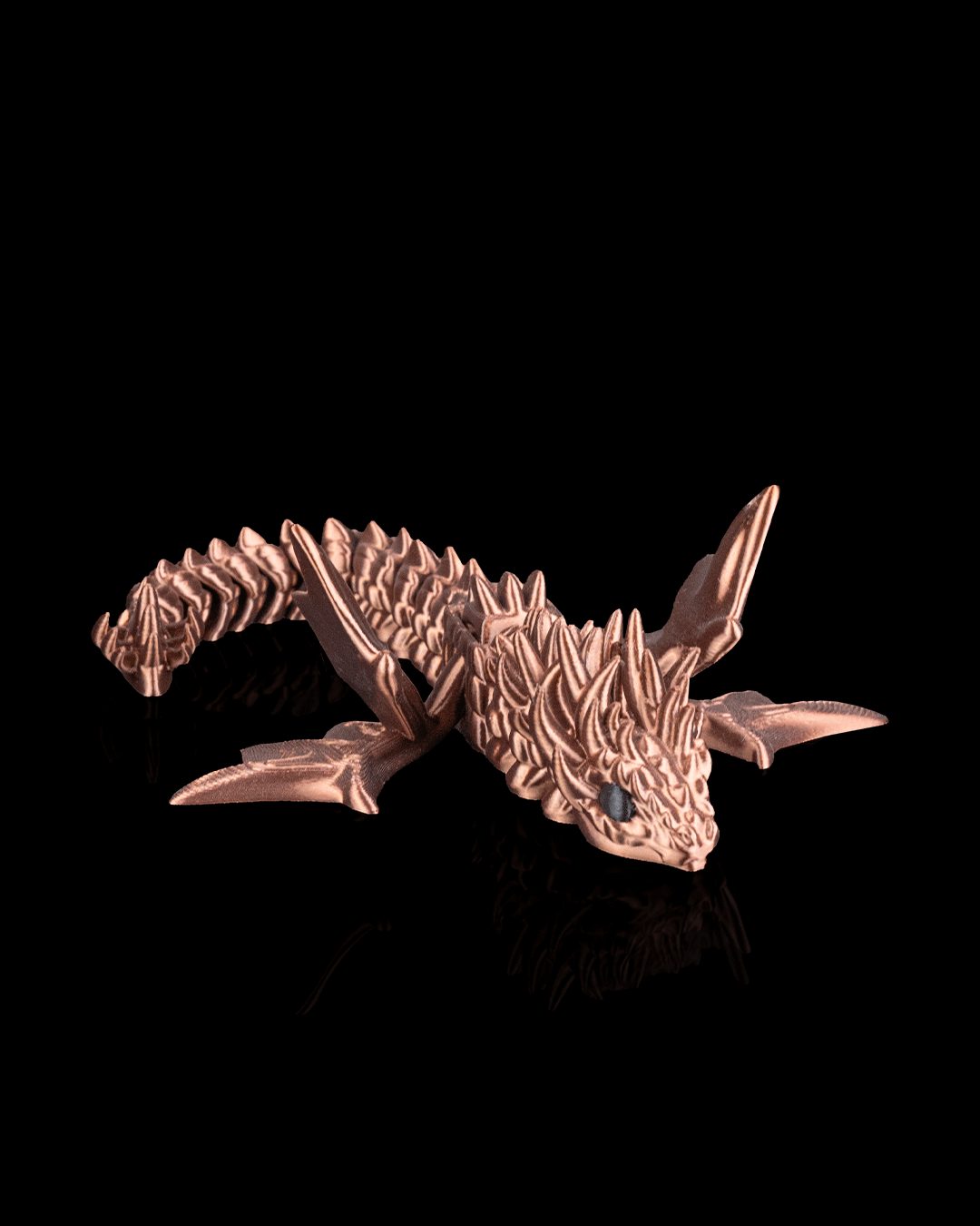 3501 - Flexi Amphiptere