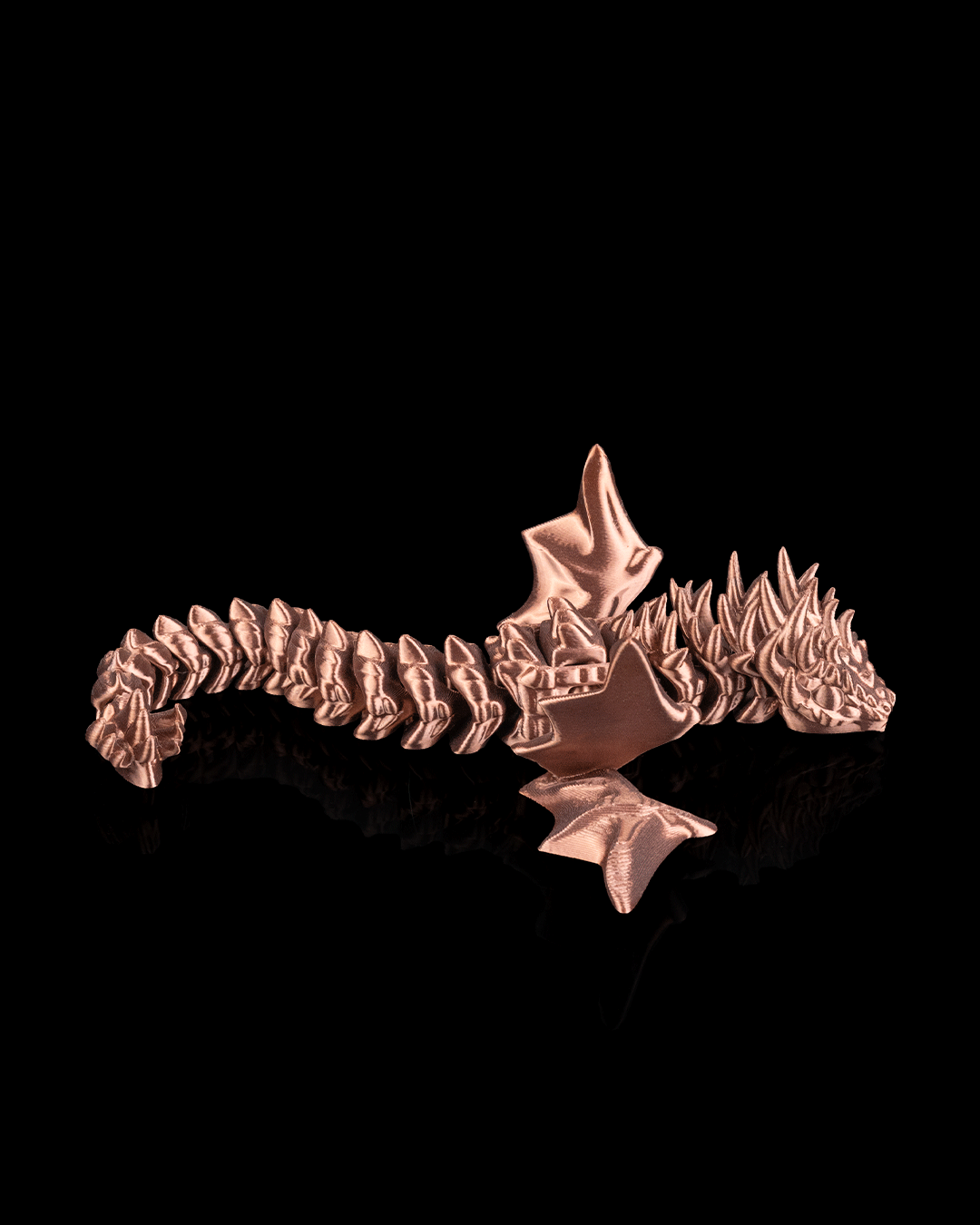 3501 - Flexi Amphiptere