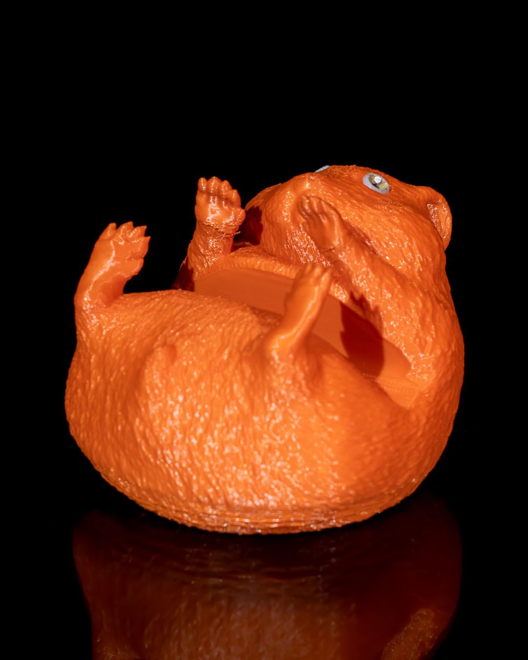 1247 - FOMO Hamster