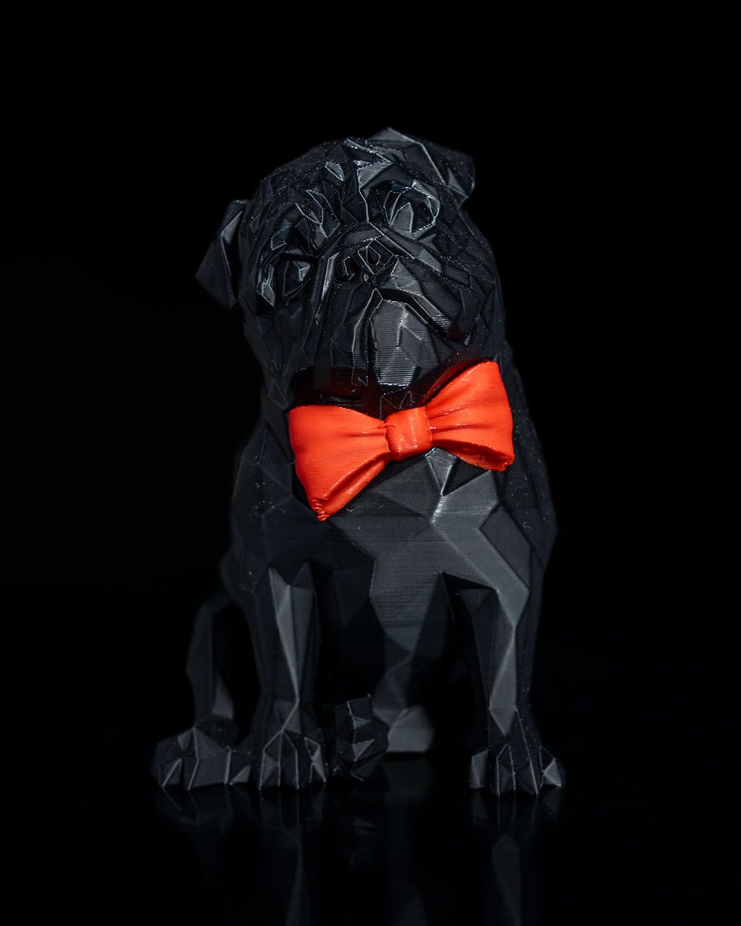 0849 - Frank the Pug