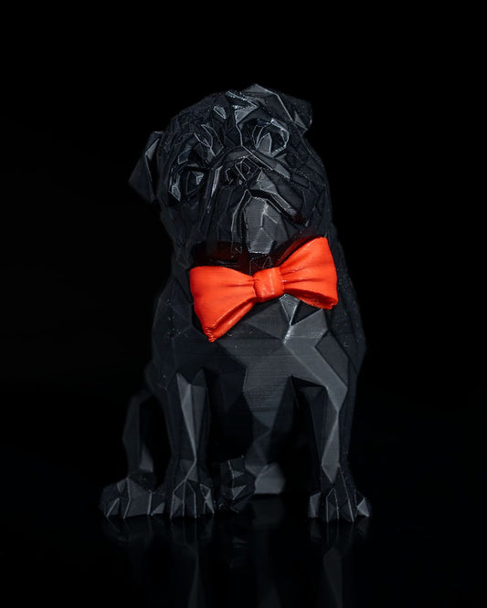 0849 - Frank the Pug