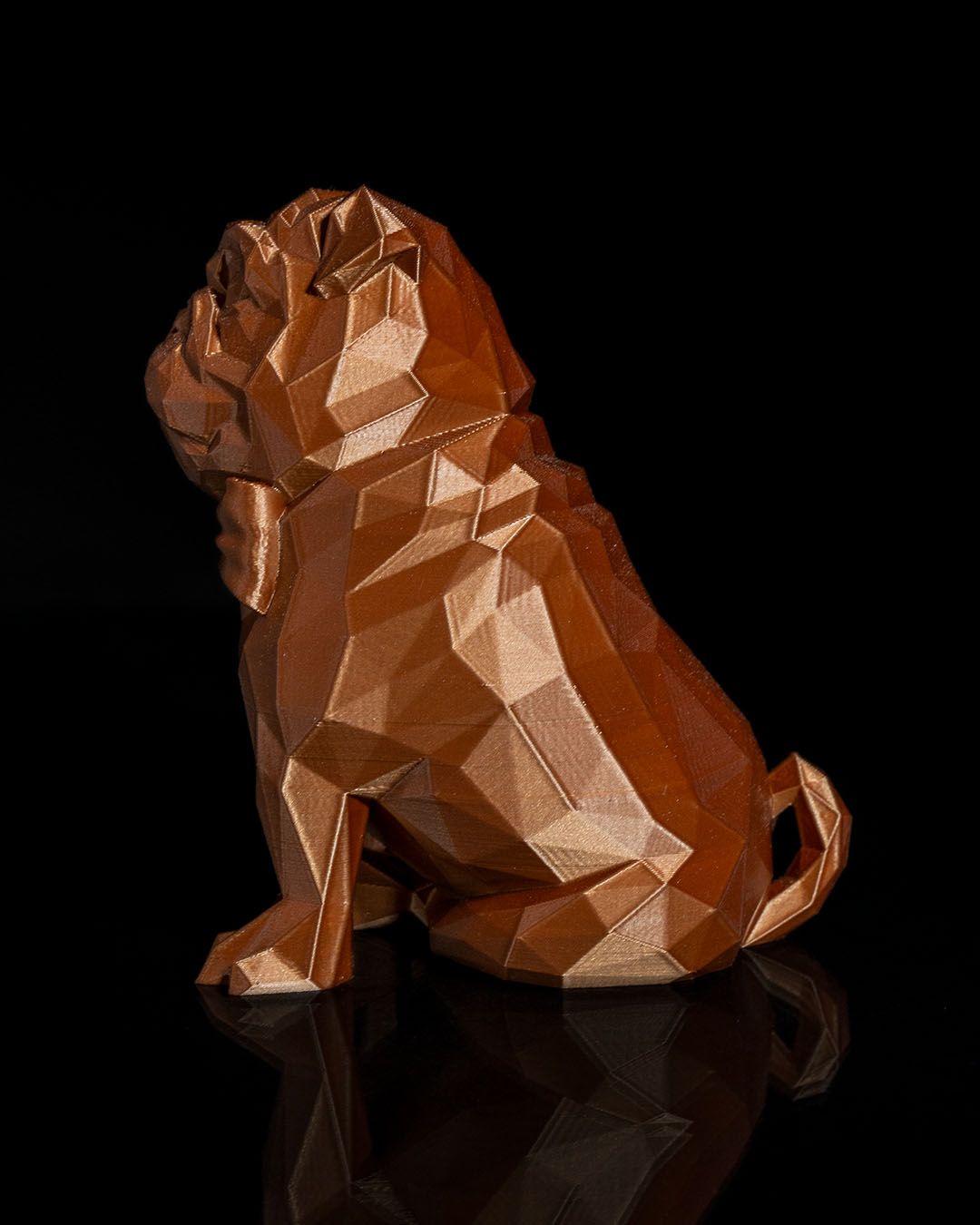 0849 - Frank the Pug