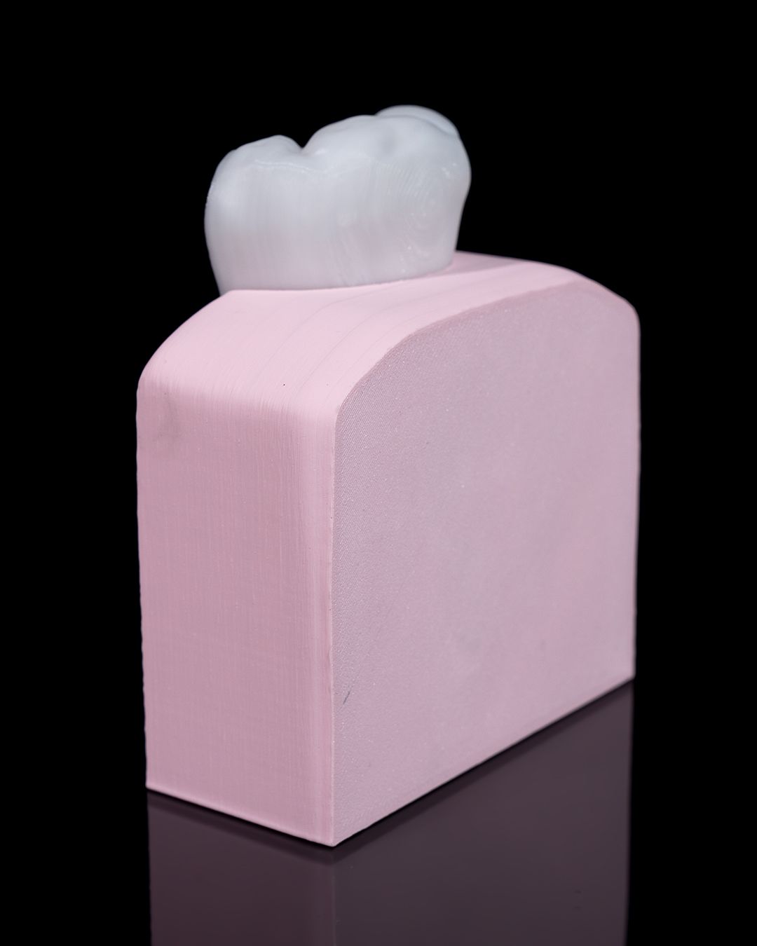 1272 - Healthy Premolar Tooth