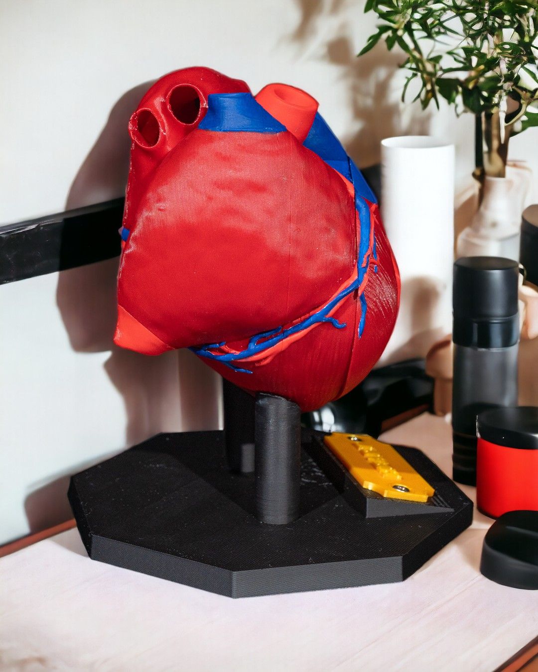 1391 - Heart Anatomical Model