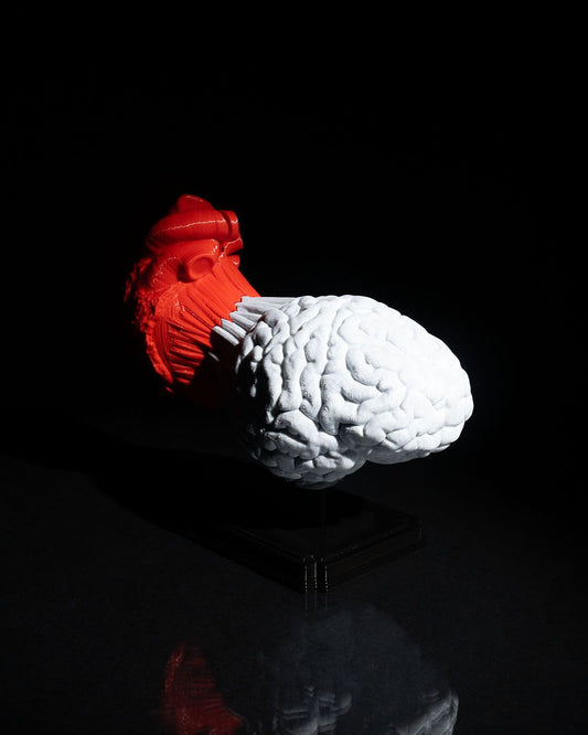 1291 - Heart and Mind