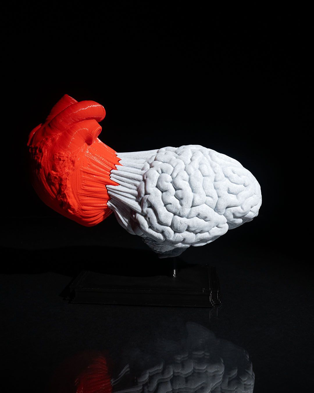 1291 - Heart and Mind