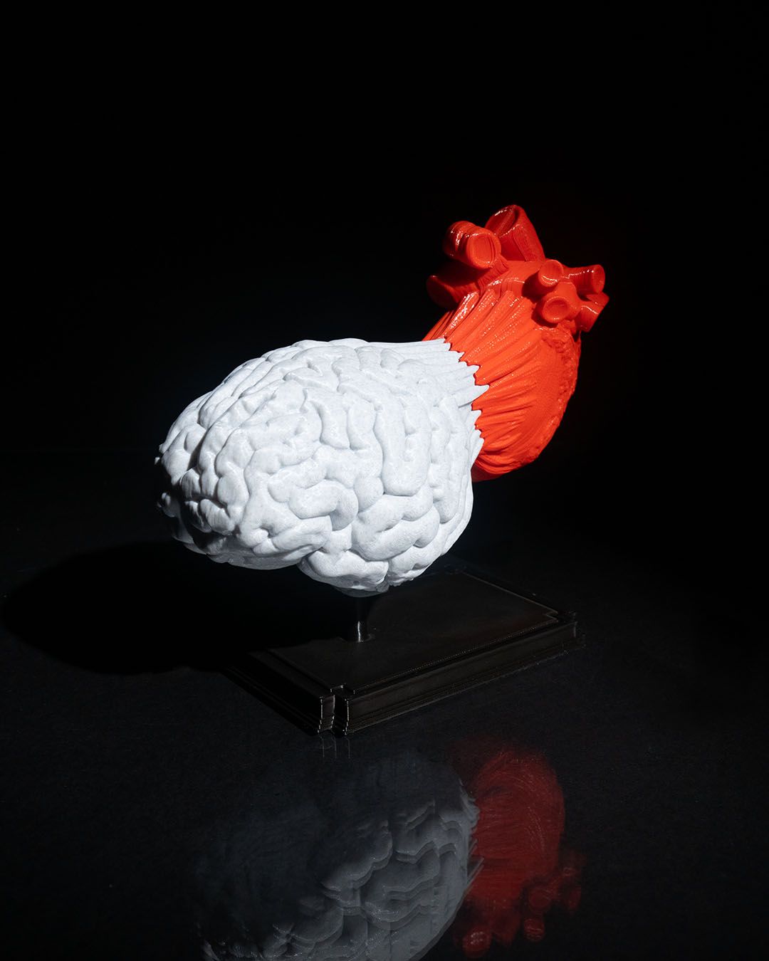 1291 - Heart and Mind