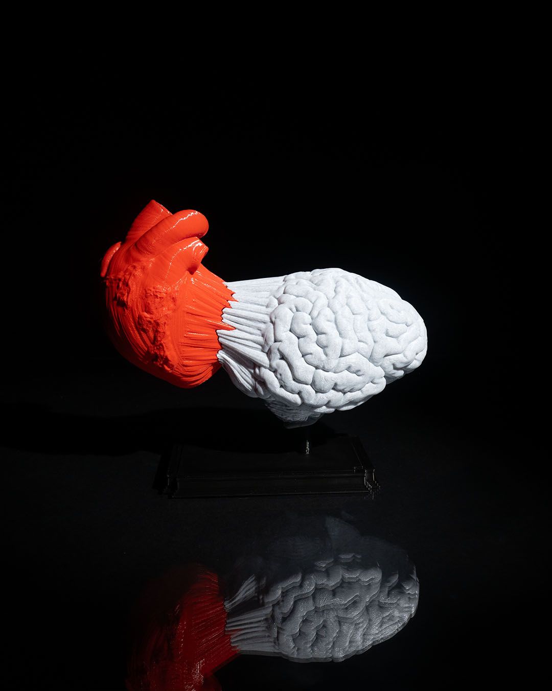 1291 - Heart and Mind