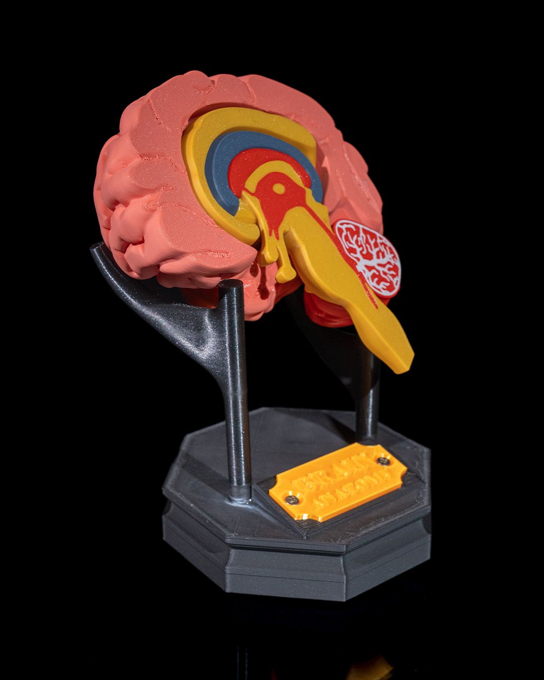 1269 - Human Brain