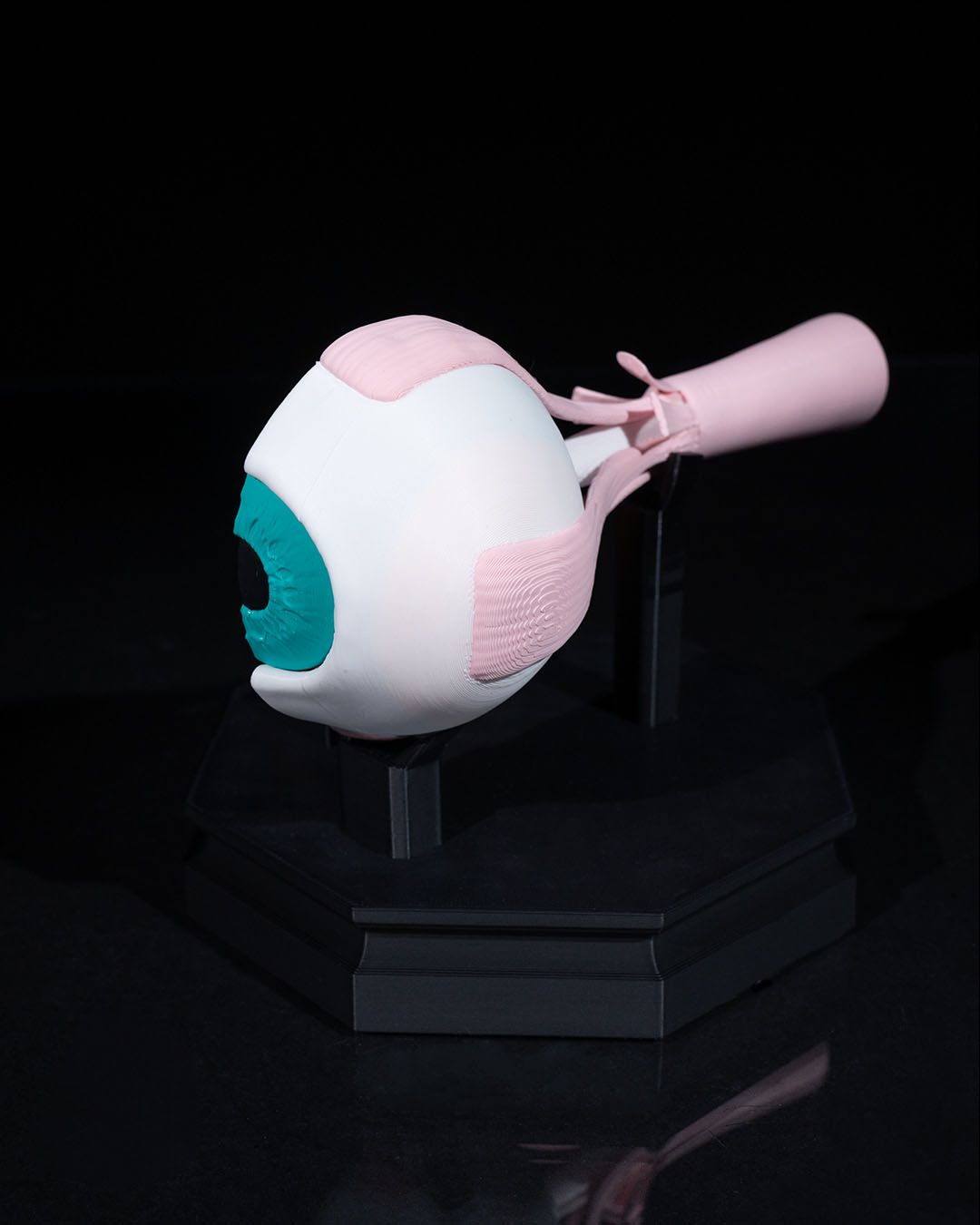 1268 - Human Eye