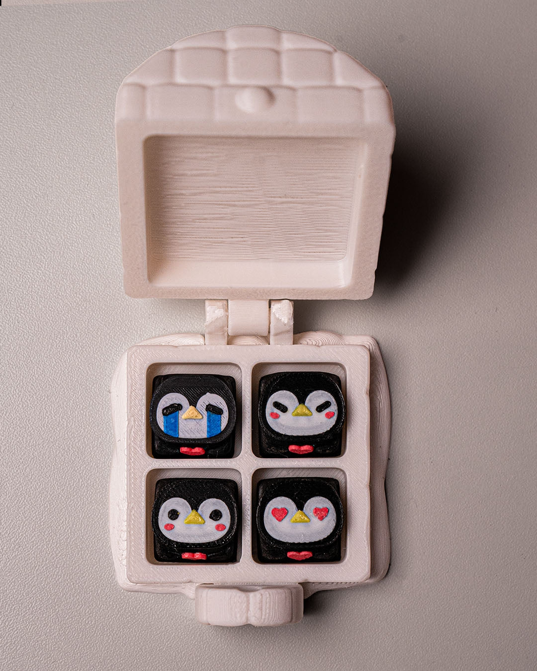 2218 - Igloo Keycap Case