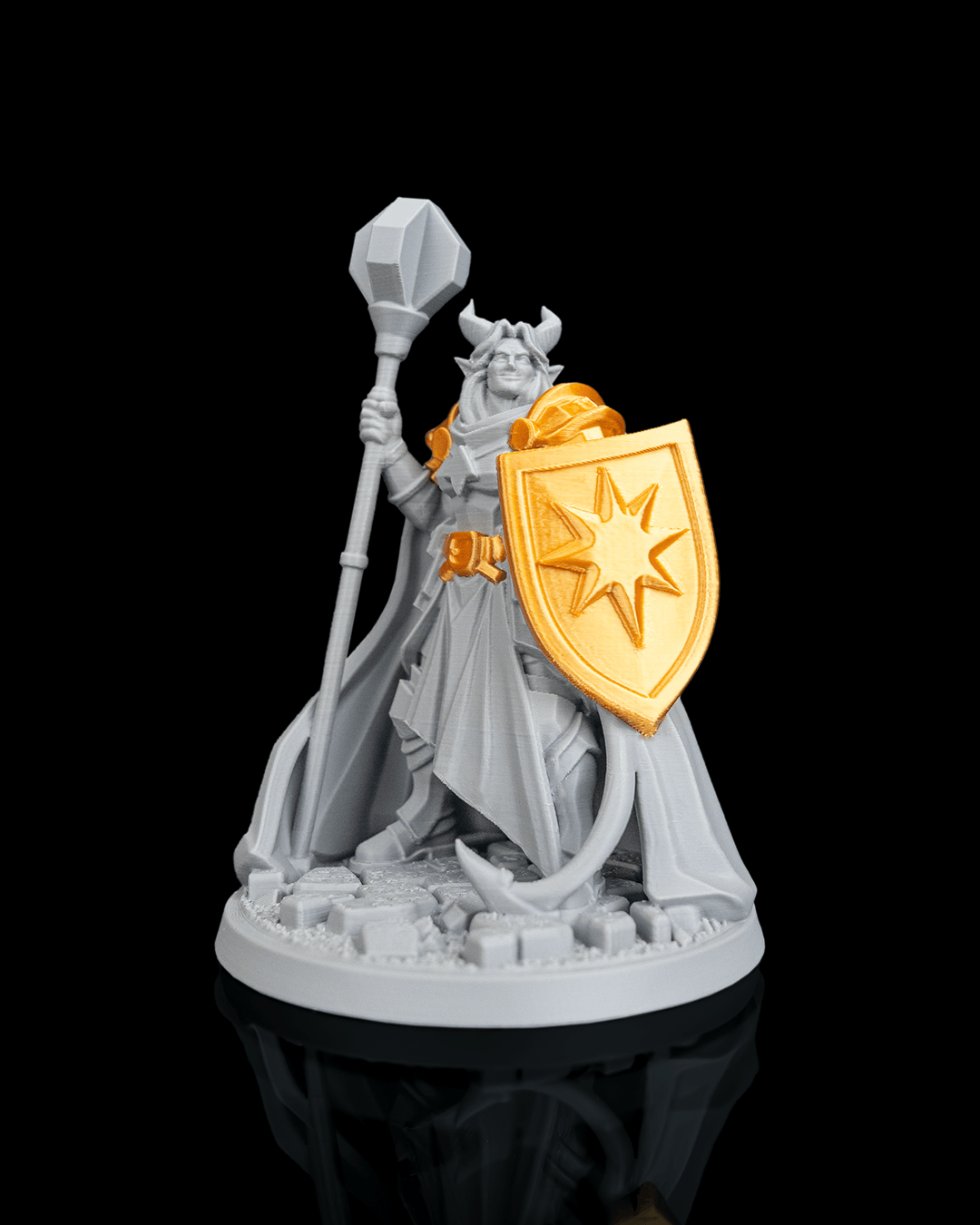 4268 - Ironvow Paladin