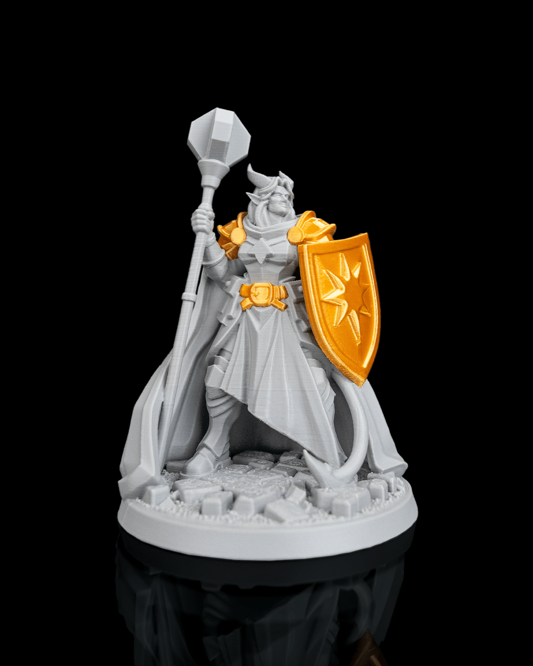 4268 - Ironvow Paladin
