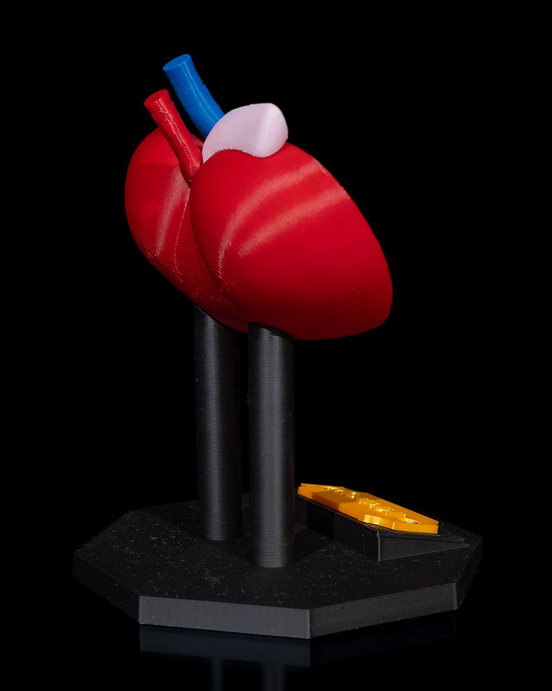 1394 - Kidney Anatomical Model