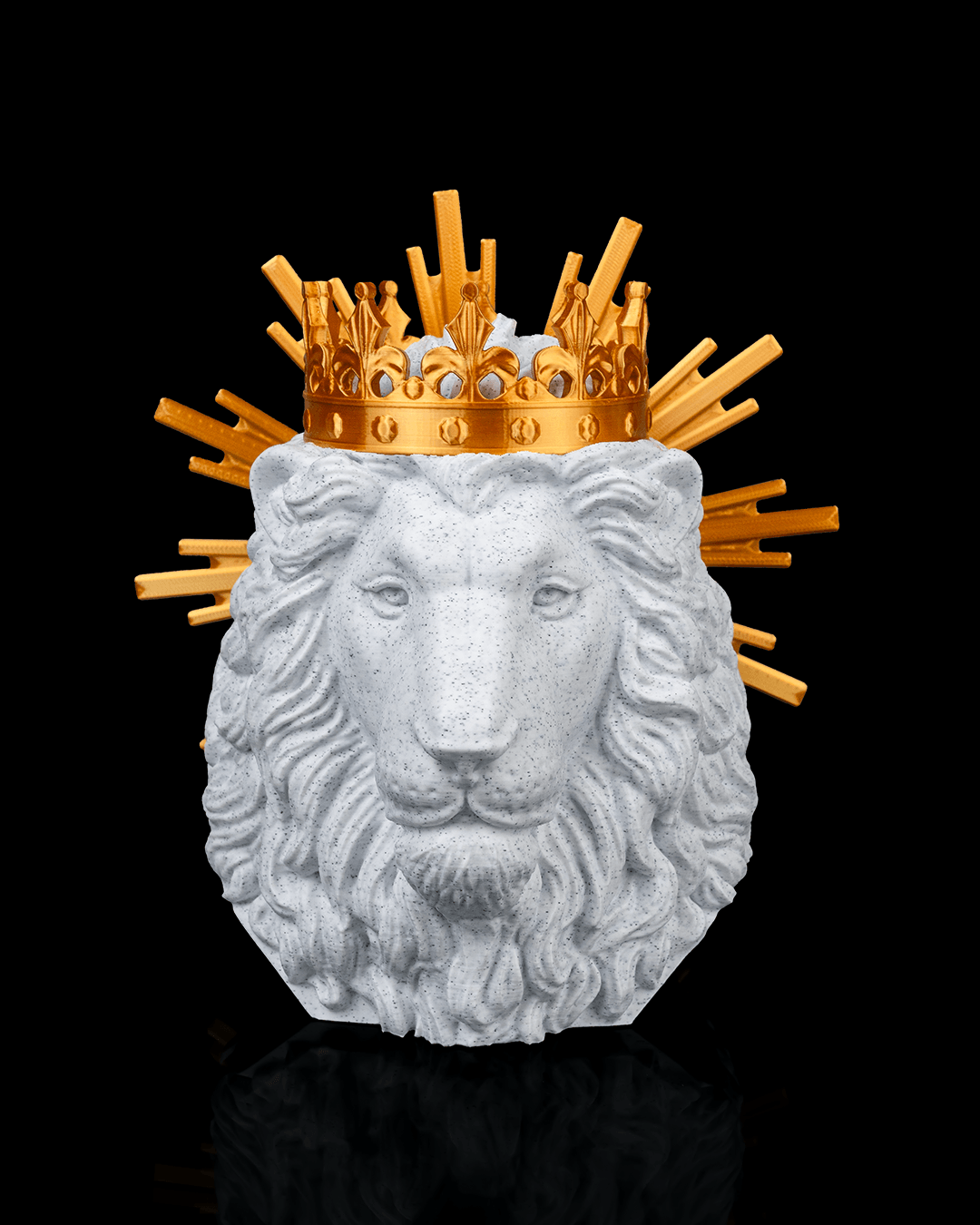 3812 - Lion of Judah