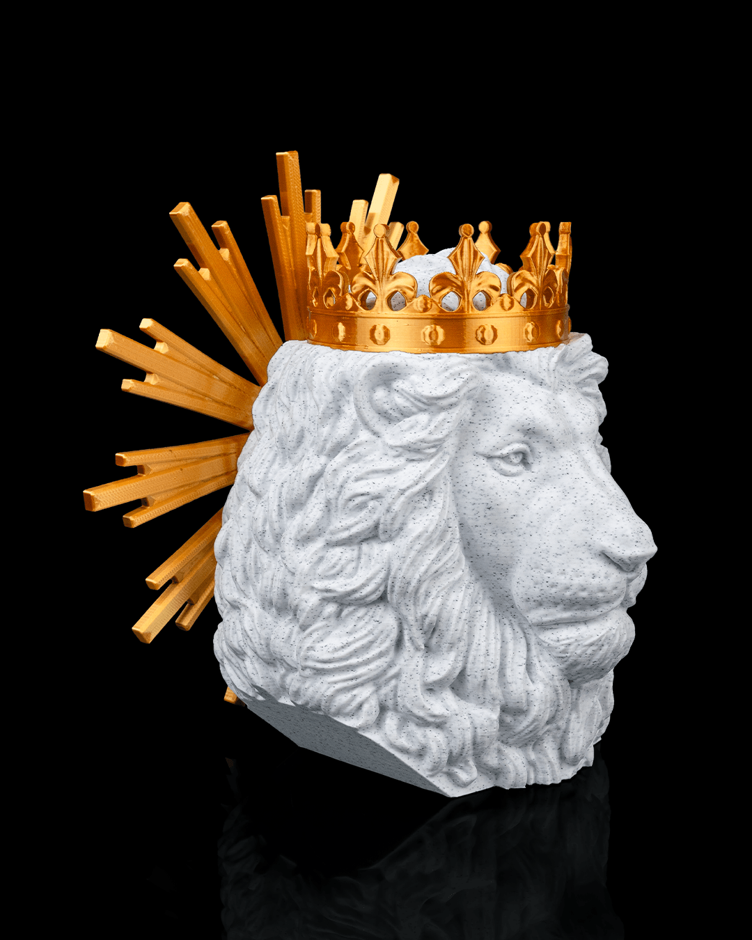 3812 - Lion of Judah